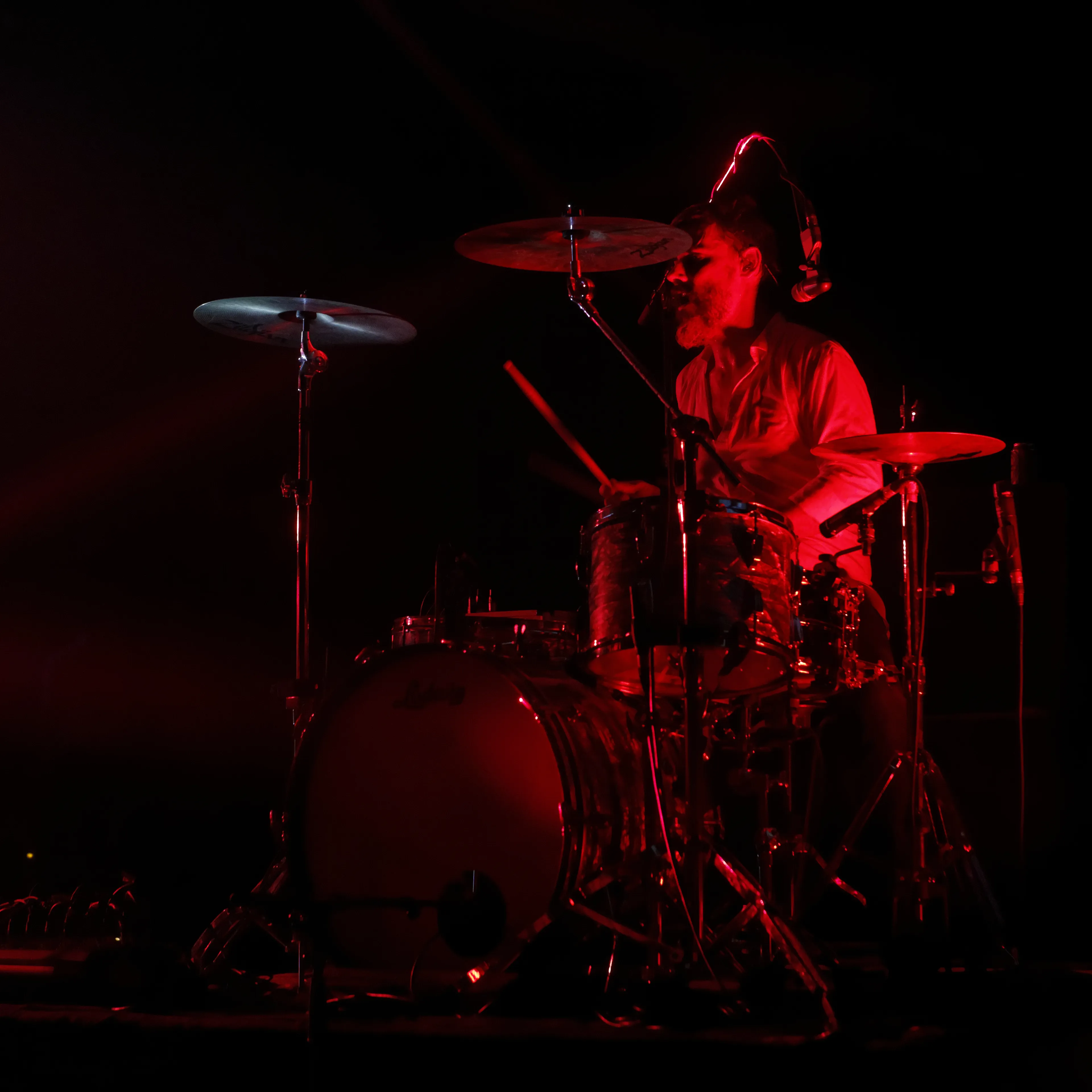 Musicien concert Vendée