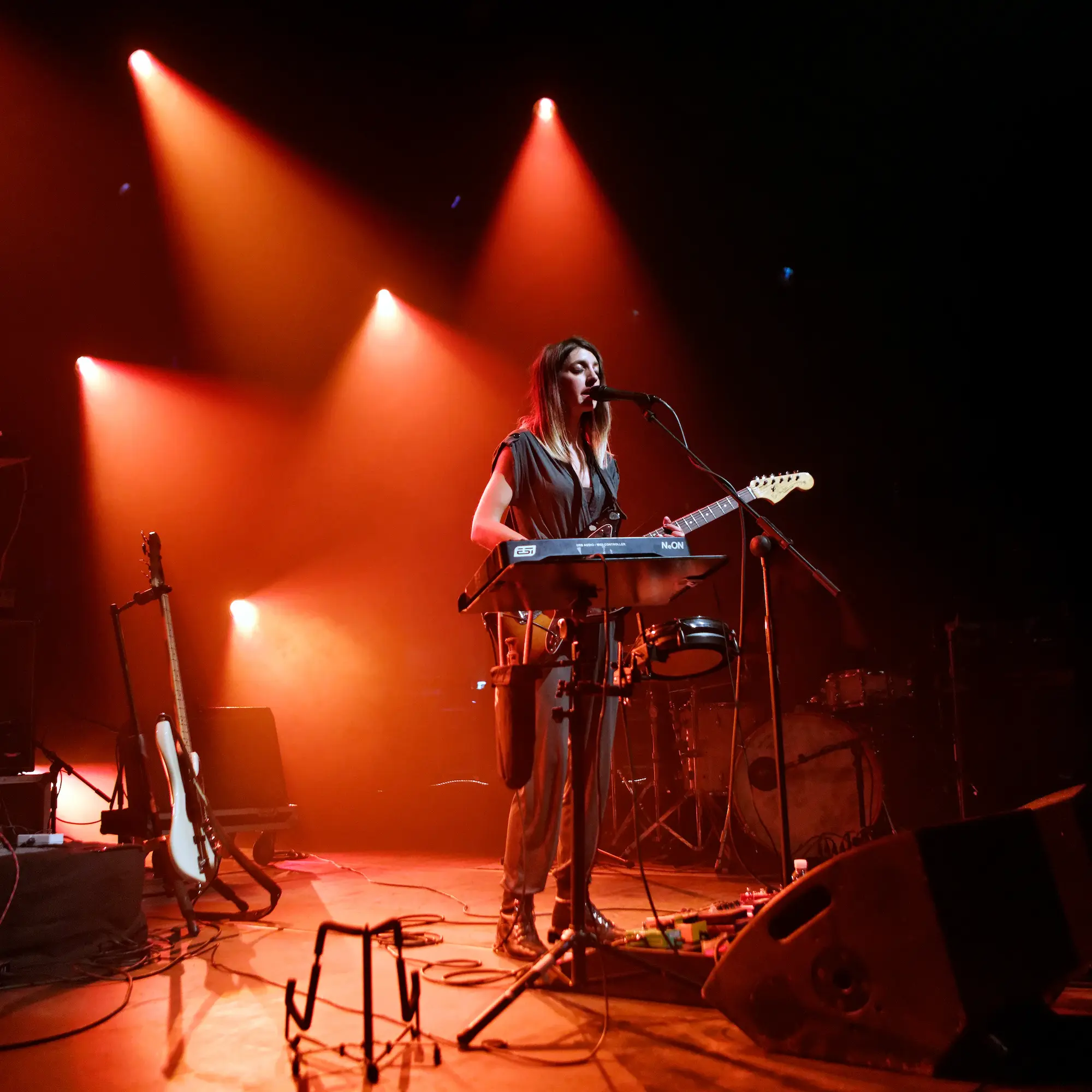 Spectateurs concert Vendée