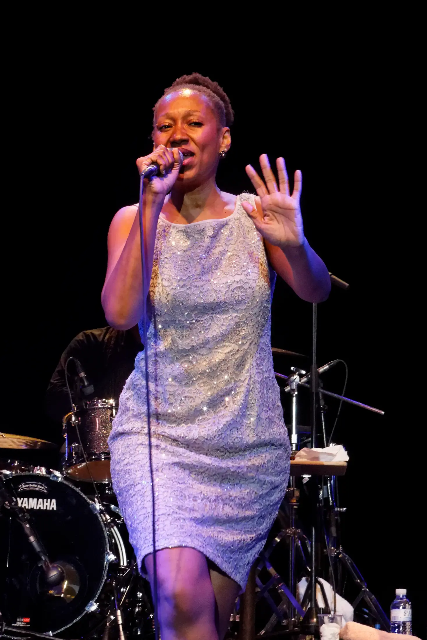 Fosse concert Vendée
