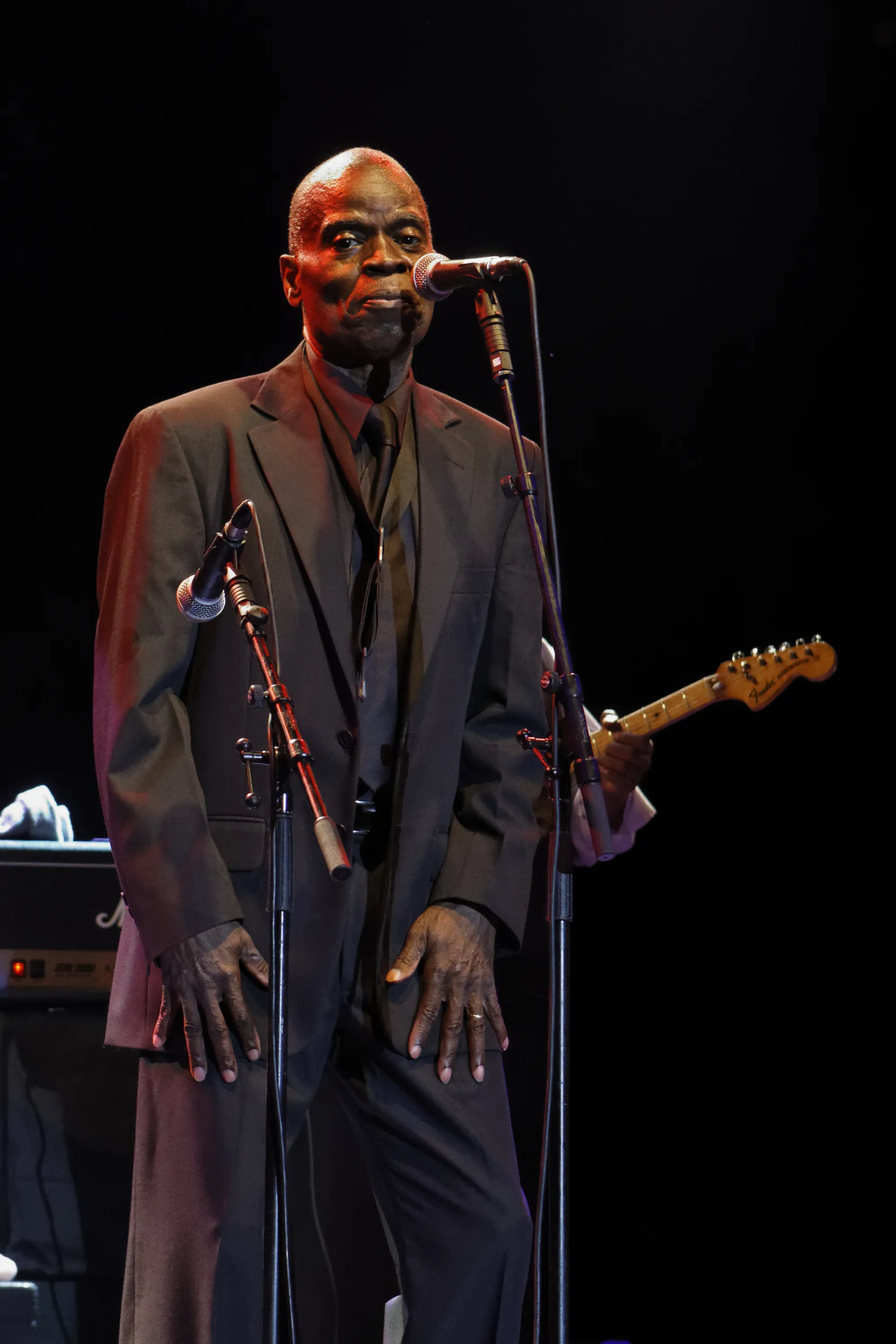 Bras levés concert Vendée