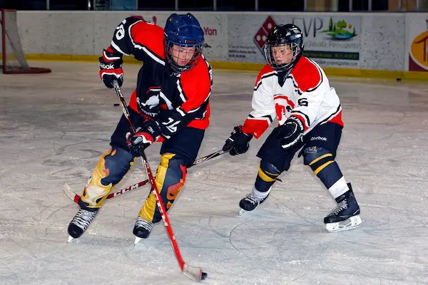 Hockey sur glace en Vendée – Fabrice Chappaz
