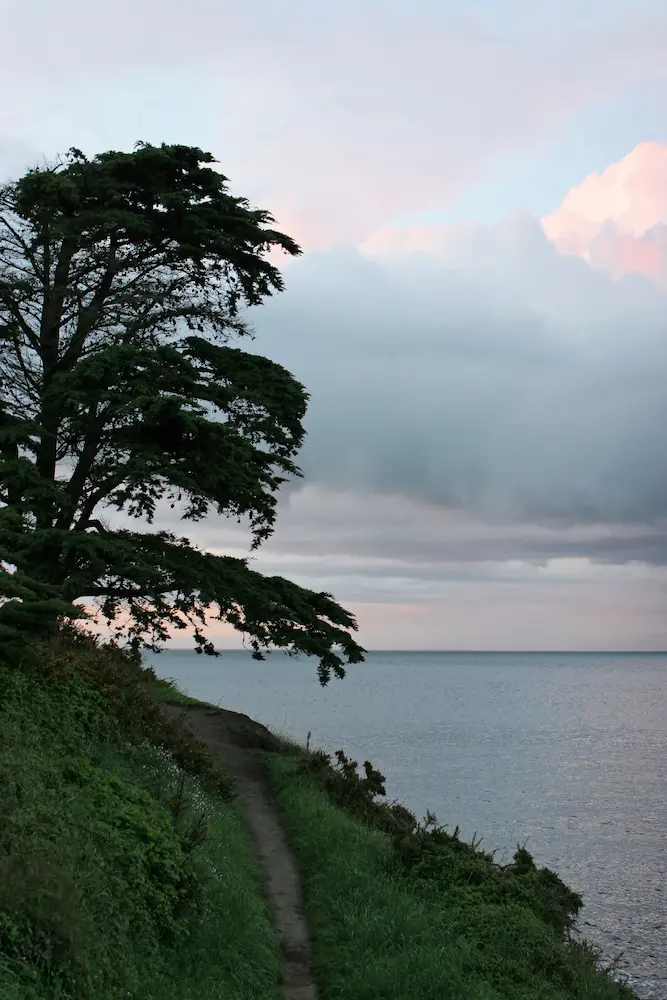 Littoral Vendée